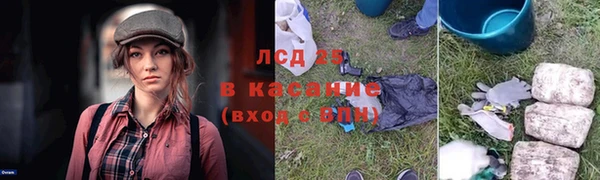 стафф Богородицк