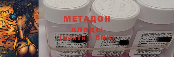 молекула духа Богданович