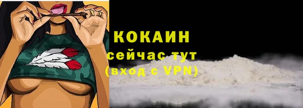 ECSTASY Белокуриха