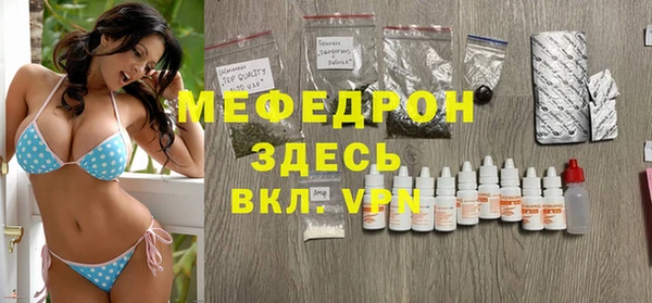 молекула духа Богданович