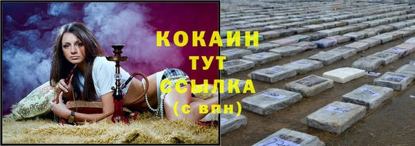 ECSTASY Белокуриха