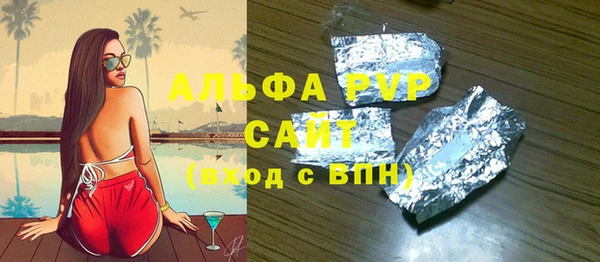 молекула духа Богданович