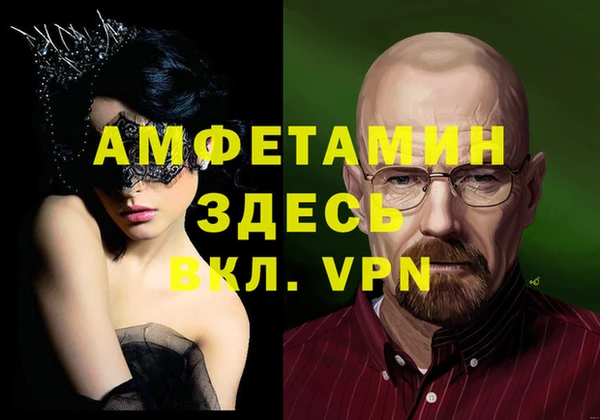 ECSTASY Белокуриха