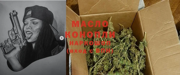 молекула духа Богданович