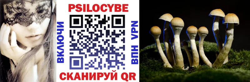 Псилоцибиновые грибы GOLDEN TEACHER Боровск