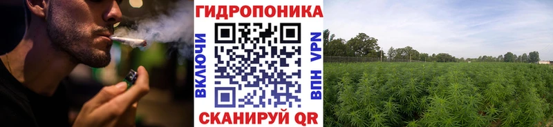 Каннабис конопля  кракен сайт  Боровск 